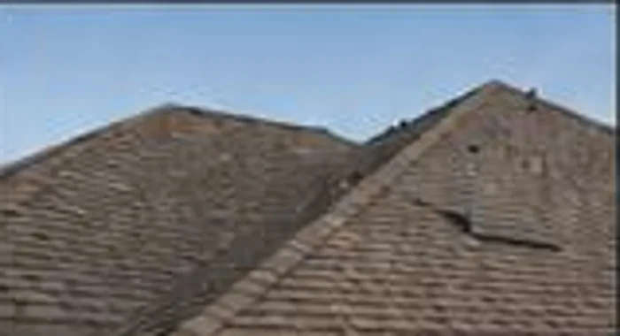 Premium shingle roof in Dallas, Texas